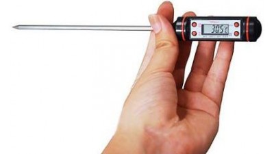 Цифровий градусник термометр TP101 зі щупом голкою (11510)