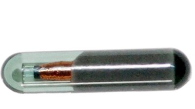 Транспондер ID48 for Jetta Original (17390)