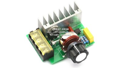 Потужний електронний регулятор напруги SCR 4000W (18224)