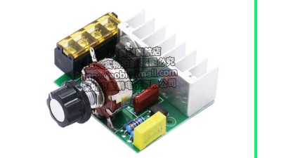 Потужний електронний регулятор напруги SCR 4000W (18224)