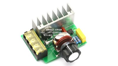 Потужний електронний регулятор напруги SCR 4000W (18224)