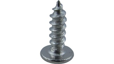 Саморіз з круглою голівкою 201 нержавіюча сталь M3 10мм 25шт (19110)