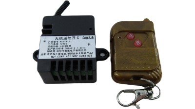 Двосторонній бездротовий пульт дистанційного керування 12V KGS-B20 (19149)