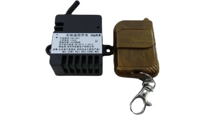 Двосторонній бездротовий пульт дистанційного керування 12V KGS-B20 (19149)