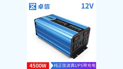 Домашній UPS ДБЖ інвертор чиста синусоїда 220V 4500W 12V (19169)