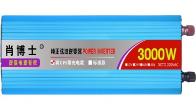 Домашній UPS ДБЖ інвертор чиста синусоїда 220V 3000W 12V (19195)